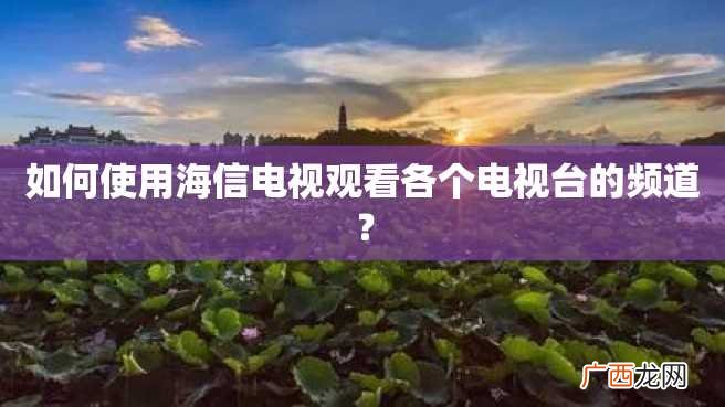 如何使用海信电视观看各个电视台的频道?