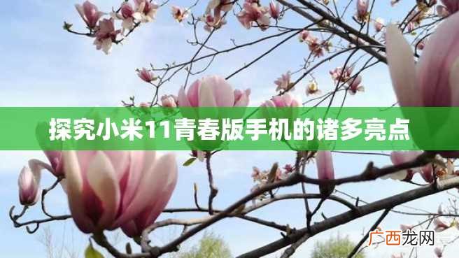探究小米11青春版手机的诸多亮点