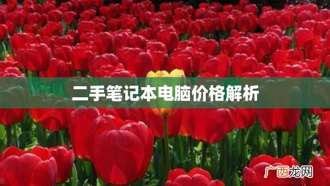二手笔记本电脑价格解析