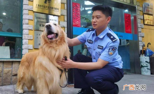 ?为何宠物协会人士建议养犬前先考试