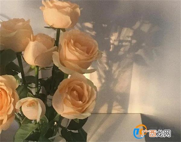 情人之间 满足了这两个条件 就是遇到了“灵魂伴侣”