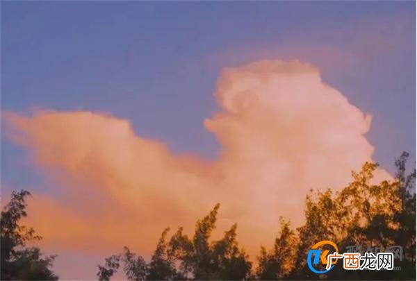 对你说这些话的人 骨子里就很坏 遇到了要远离 会惹厄运