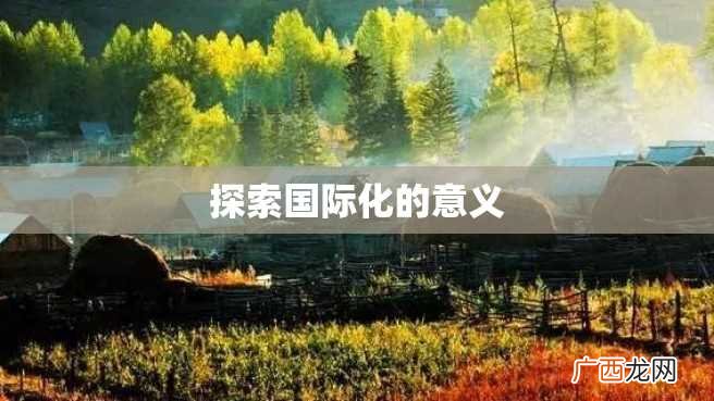 探索国际化的意义