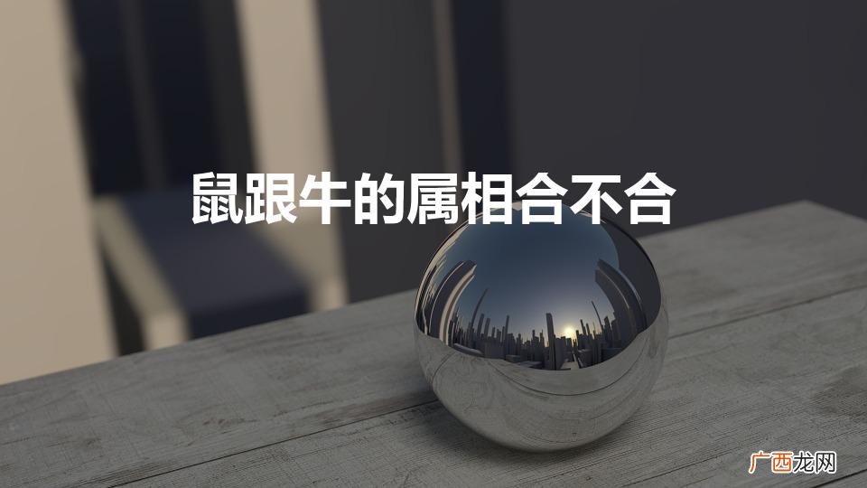 属鼠最忌讳的三个生肖 鼠跟牛的属相合不合