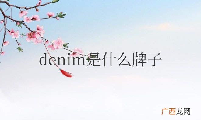 一个美国牛仔创立的品牌 denim是什么牌子的牛仔裤