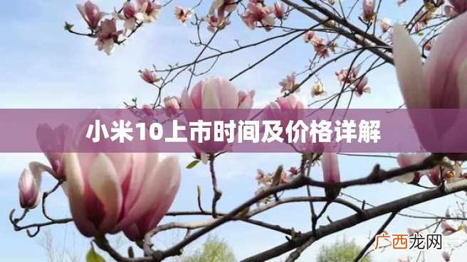 小米10上市时间及价格详解