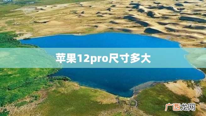 苹果12pro尺寸多大