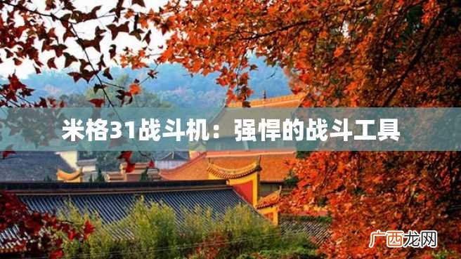 米格31战斗机：强悍的战斗工具