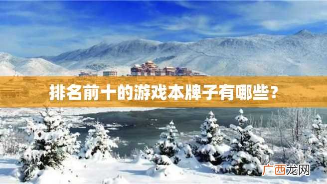 排名前十的游戏本牌子有哪些？