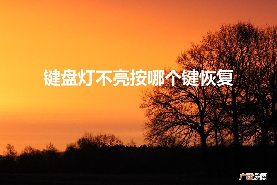 电脑键盘灯不亮该如何解决呢 键盘灯不亮按哪个键恢复