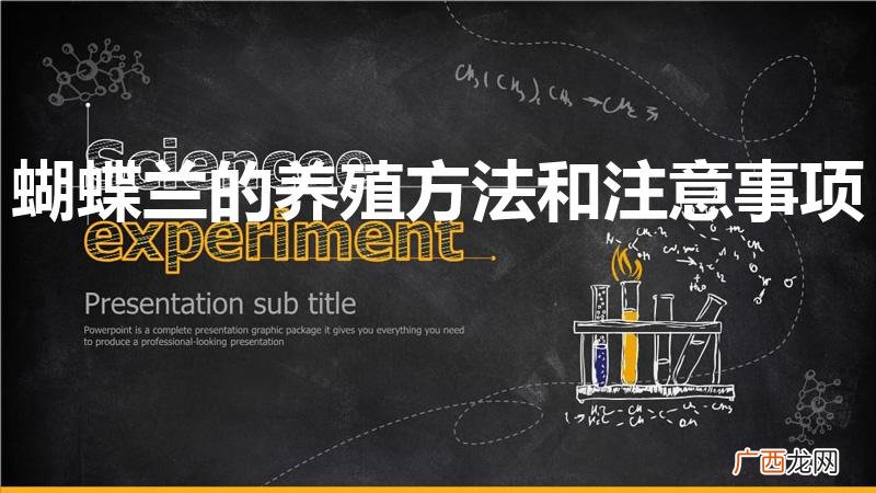 蝴蝶兰的养殖方法和注意事项