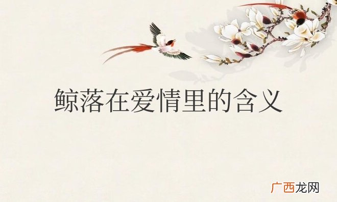 鲸落在爱情里的含义和象征