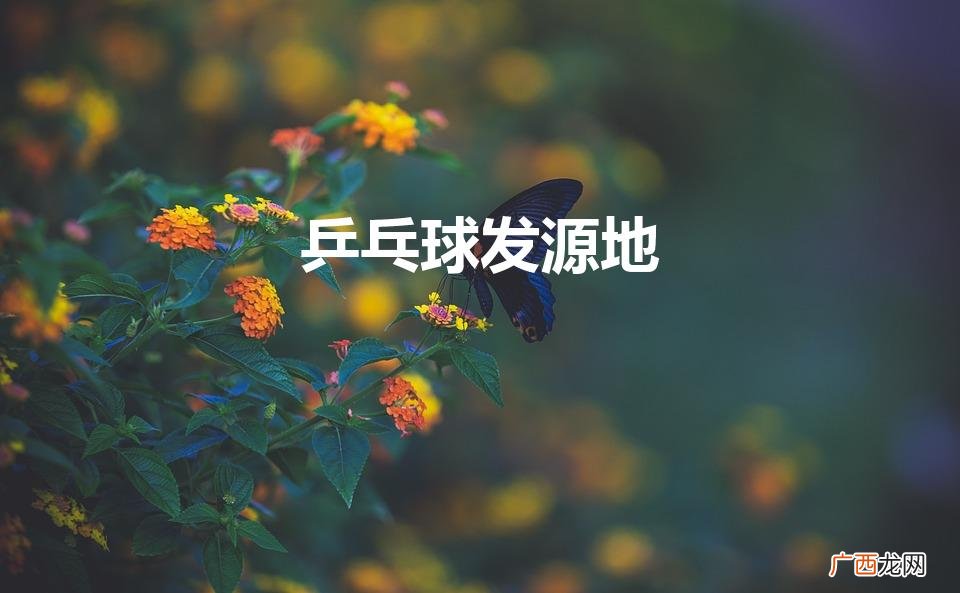 乒乓之源 乒乓球发源地