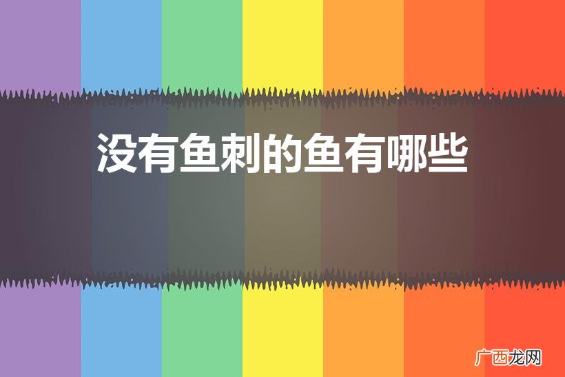 无小刺的鱼有哪些 没有鱼刺的鱼有哪些