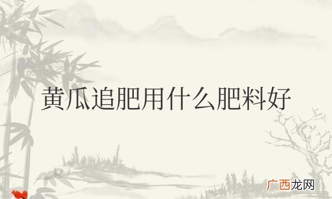 黄瓜追肥用什么肥料好