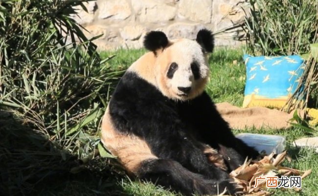 ?丫丫贴秋膘成功 说明了什么