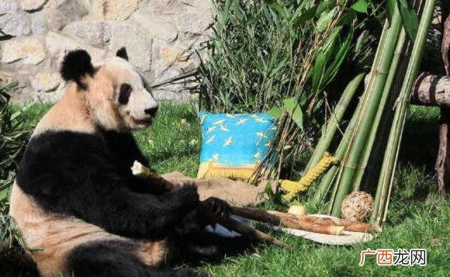 ?丫丫贴秋膘成功 说明了什么