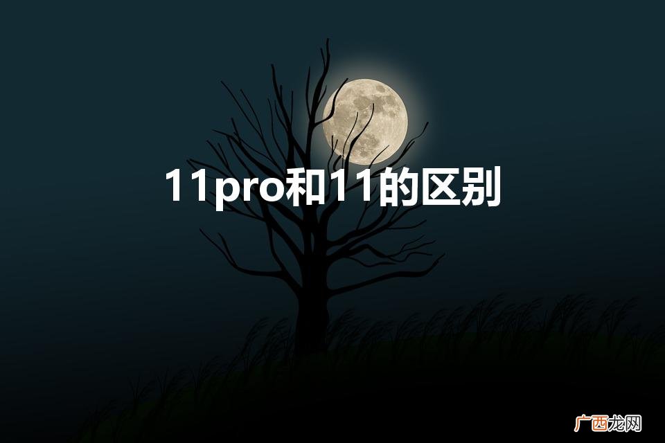 苹果11和11pro的区别 11pro和11的区别