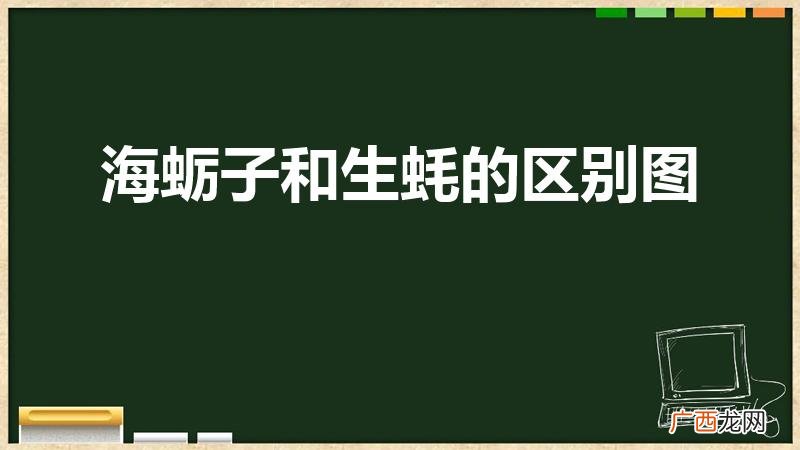 牡蛎和生蚝的区别图 海蛎子和生蚝的区别图