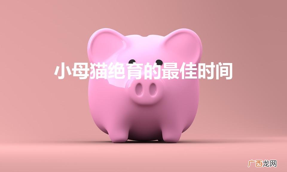 理想绝育时机：小猫何时最佳？ 小母猫绝育的最佳时间