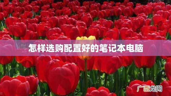 怎样选购配置好的笔记本电脑