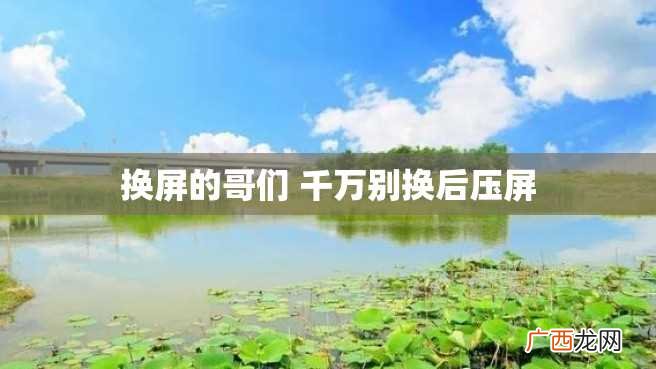 换屏的哥们 千万别换后压屏