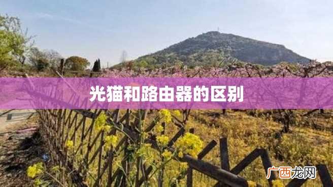 光猫和路由器的区别