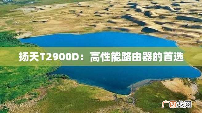 扬天T2900D:高性能路由器的首选