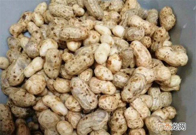 超级入味的水煮五香花生夏天不可少的下酒凉菜 简单易做