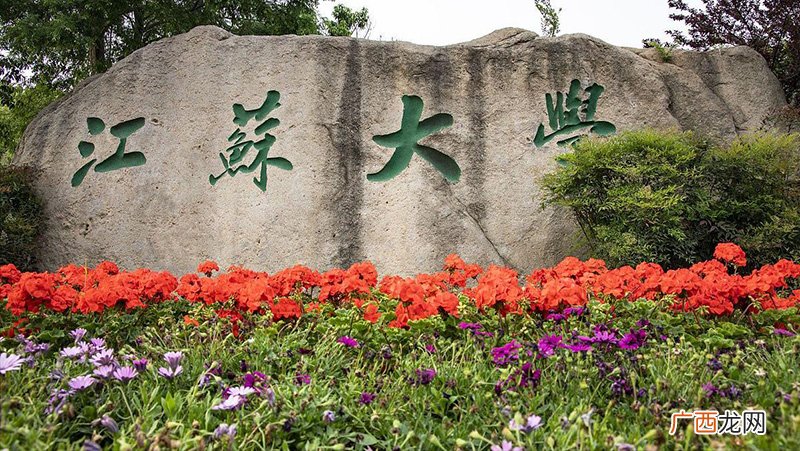 江苏大学是211吗还是985 江苏大学是211吗