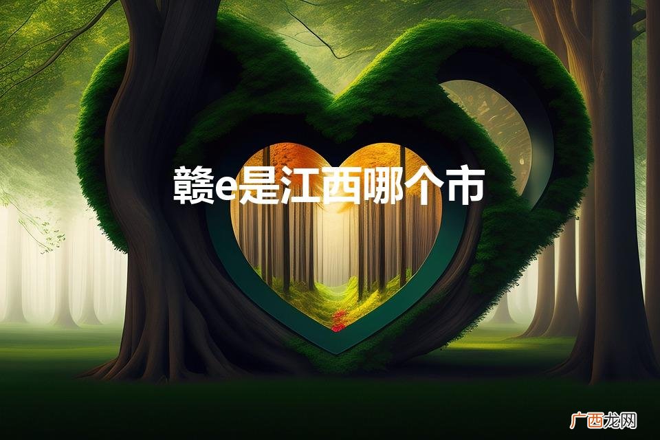 赣e是江西哪个市（是什么地方的车牌)