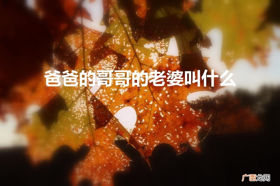 爸爸哥哥的老婆怎么称呼 爸爸的哥哥的老婆叫什么