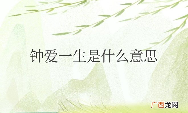 钟爱一生是什么意思网络用语
