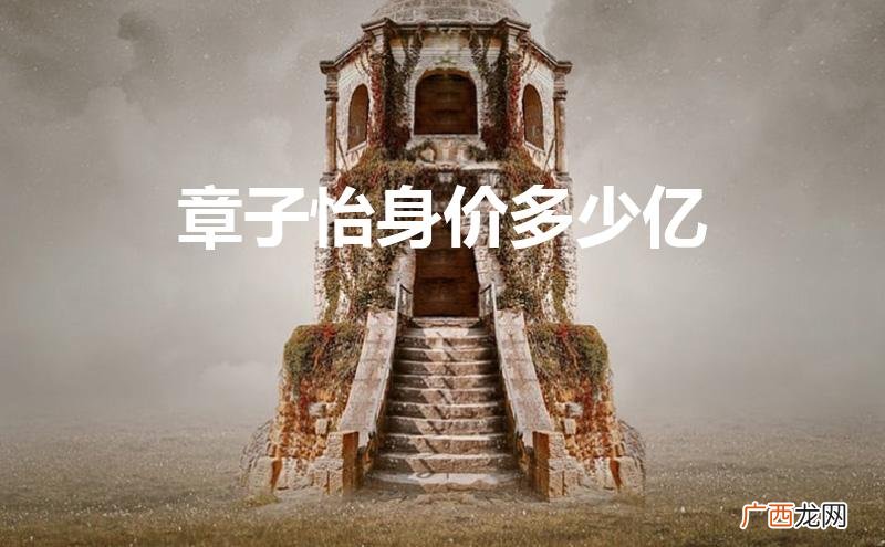 章子怡身价多少亿? 章子怡身价多少亿