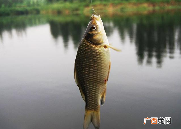 天气降温后的垂钓技巧分享 春季突然降温好钓鱼吗