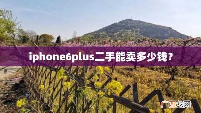 iphone6plus二手能卖多少钱？