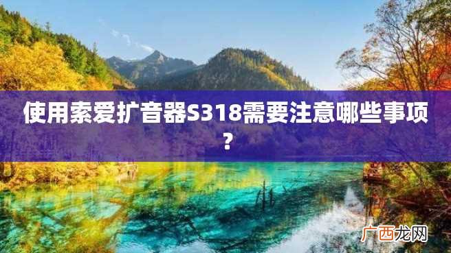 使用索爱扩音器S318需要注意哪些事项？