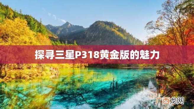 探寻三星P318黄金版的魅力