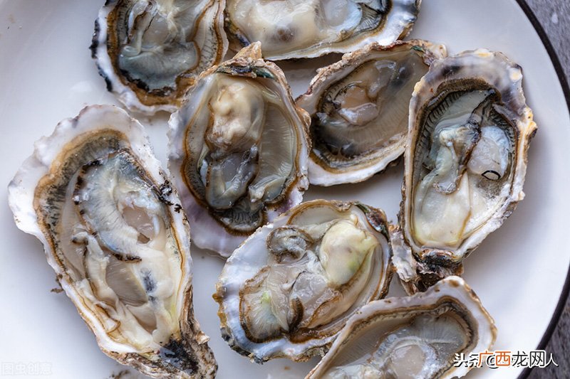 海蛎和生蚝的营养价值及功效 海蛎和生蚝的区别在哪里