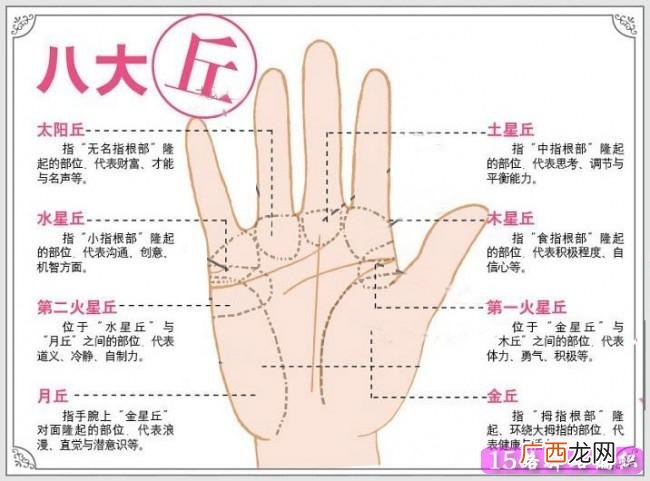 那为什么会有这个说法存在 手掌比手指长的女生命运