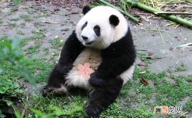 为什么说花花挣的工资有一大半是委屈费