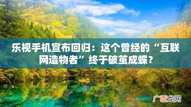 乐视手机宣布回归:这个曾经的“互联网造物者”终于破茧成蝶?
