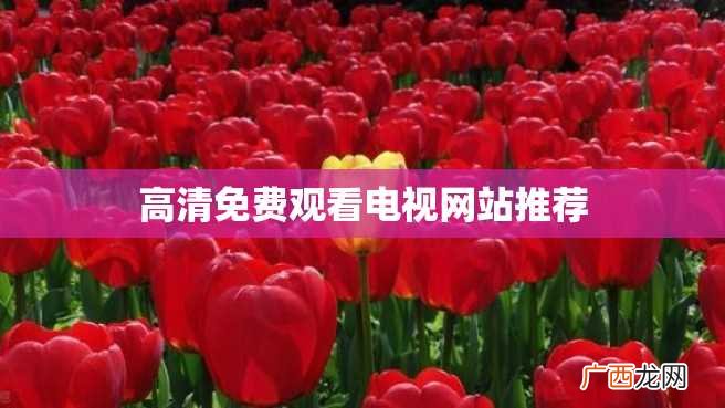 高清免费观看电视网站推荐