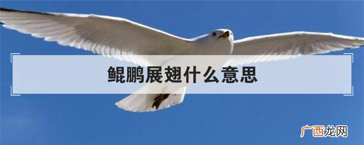 鲲鹏展翅的意思简单解释