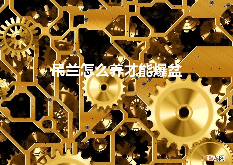 一棵吊兰怎么养爆盆 吊兰怎么养才能爆盆