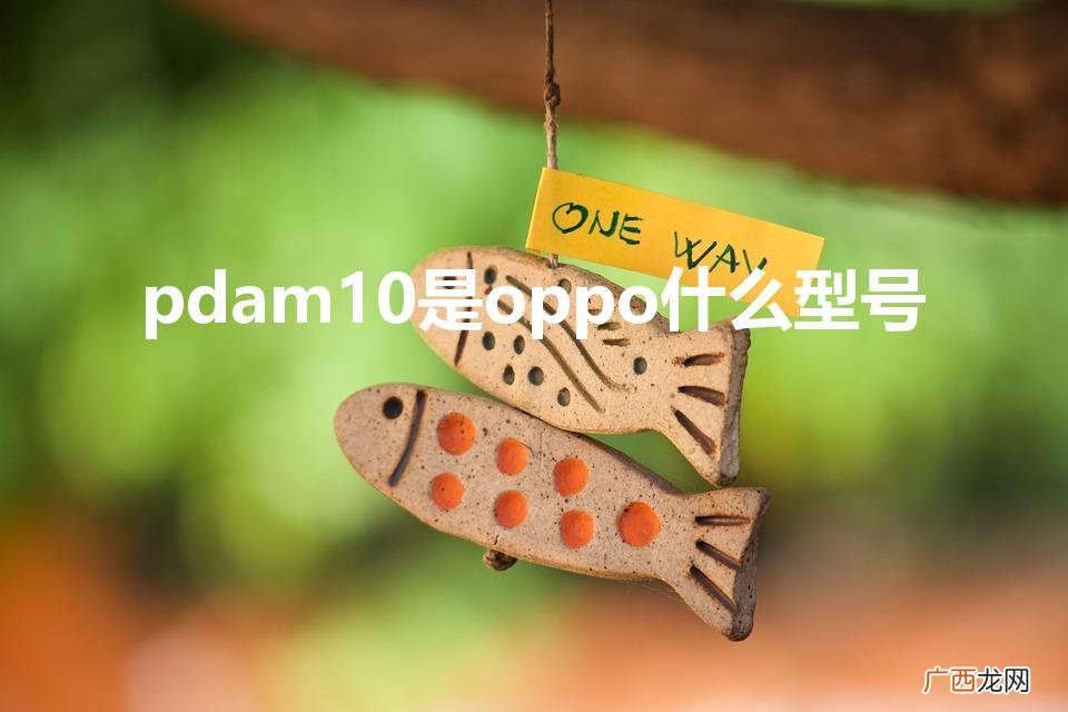 Oppo PDAM10型号解析 pdam10是oppo什么型号