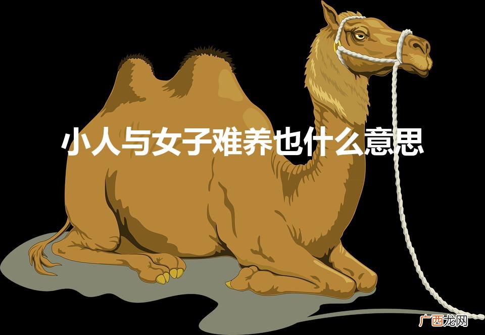 养女难，养小人难 小人与女子难养也什么意思