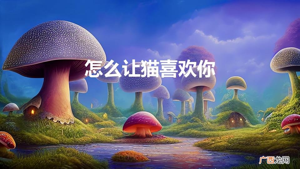怎么让猫咪喜欢你 怎么让猫喜欢你