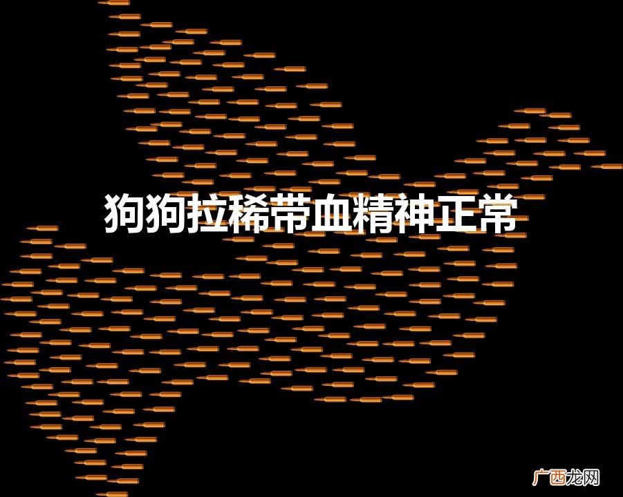 狗狗拉稀血便不要慌 狗狗拉稀带血精神正常