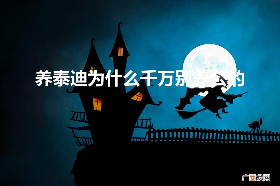 泰迪狗公的不适合养。 养泰迪为什么千万别养公的